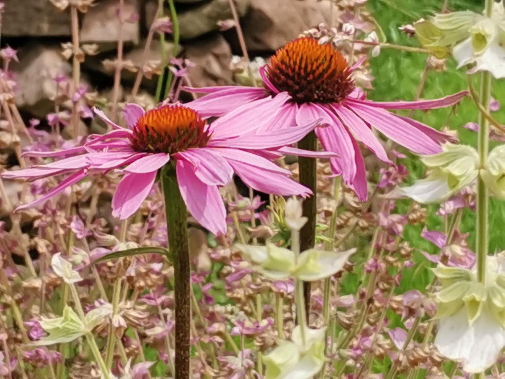 Im Vital Art Naturgarten Zweibrücken Eksteriør bilde