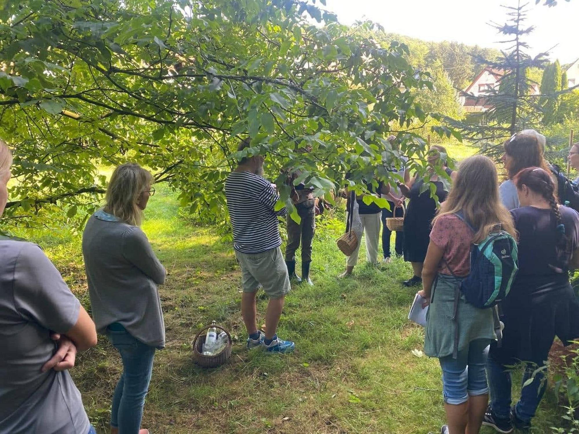Im Vital Art Naturgarten Zweibrücken Eksteriør bilde