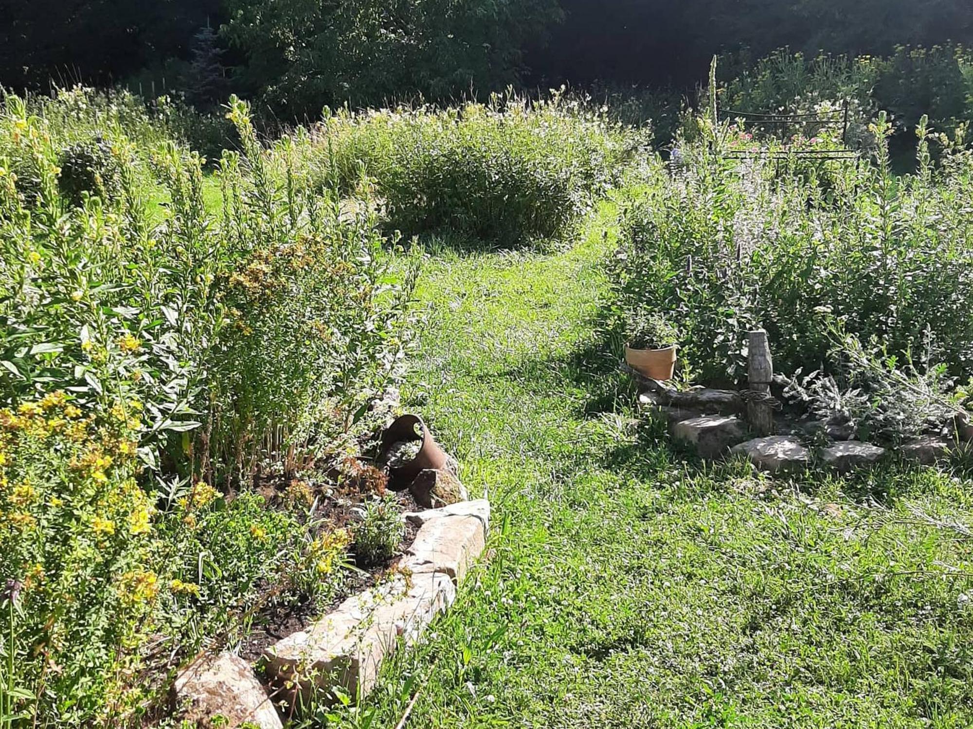 Im Vital Art Naturgarten Zweibrücken Eksteriør bilde