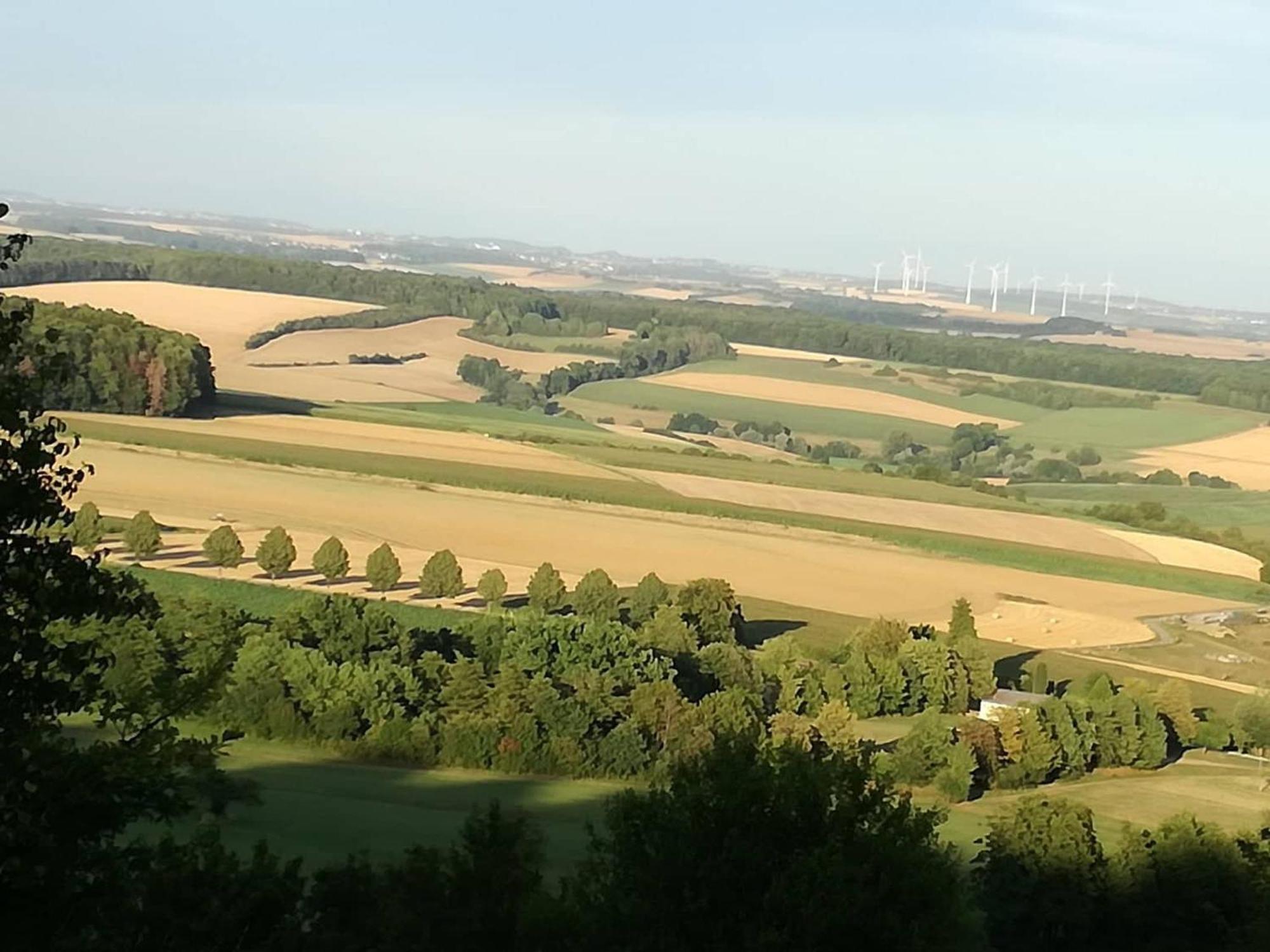 Im Vital Art Naturgarten Zweibrücken Eksteriør bilde